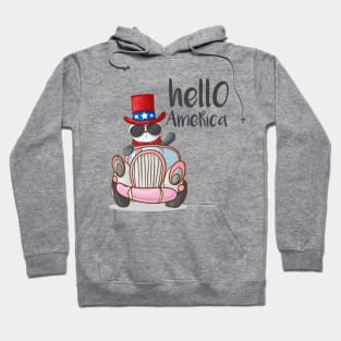 Panda Hello America Hoodie